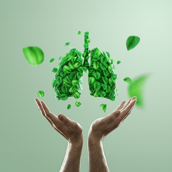 Respiratory Health & Smokers Support
