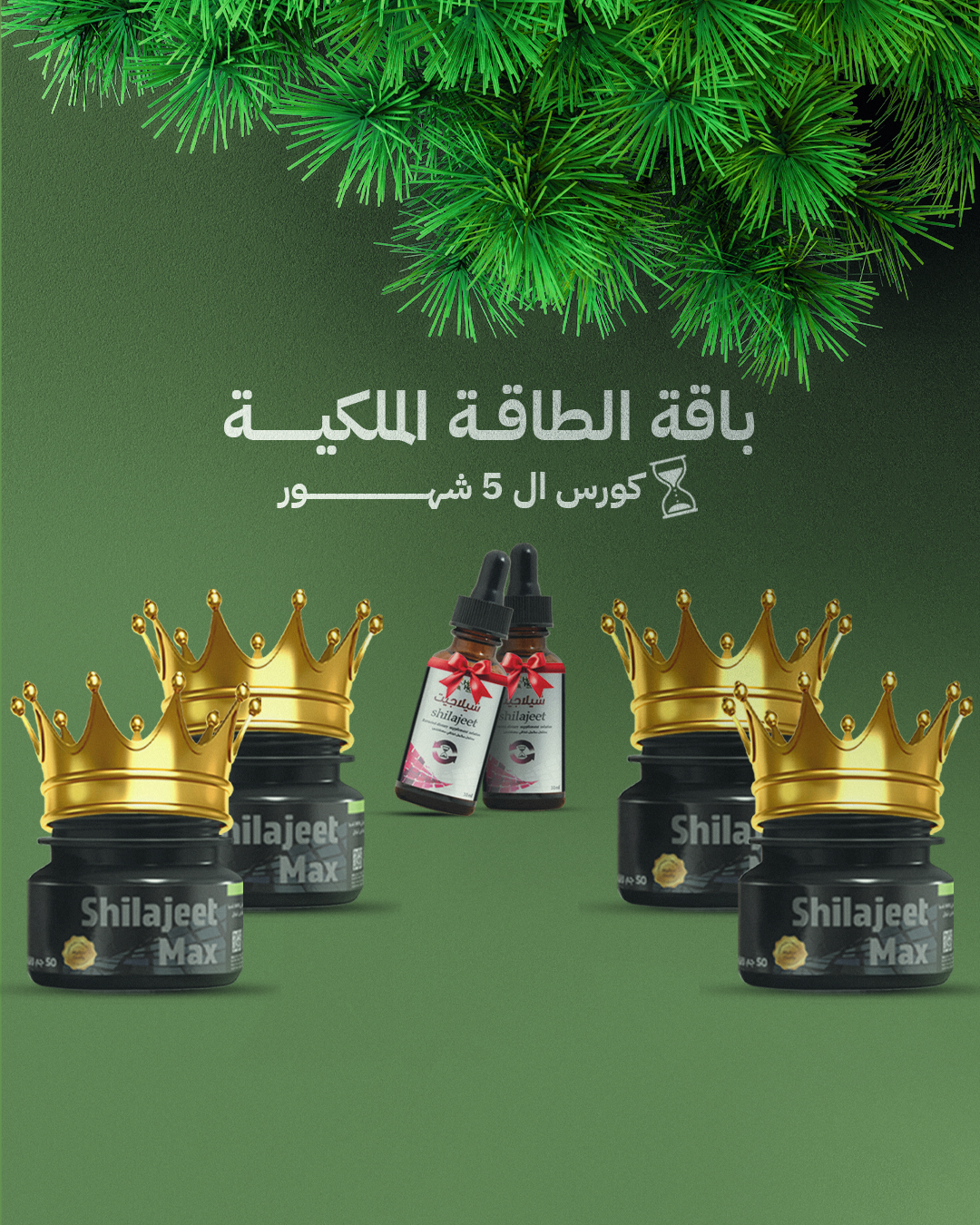 باقة الطاقة الملكية