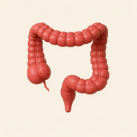 منتجات القولون