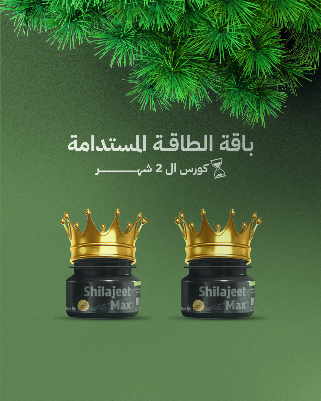 باقة الطاقة المستدامة