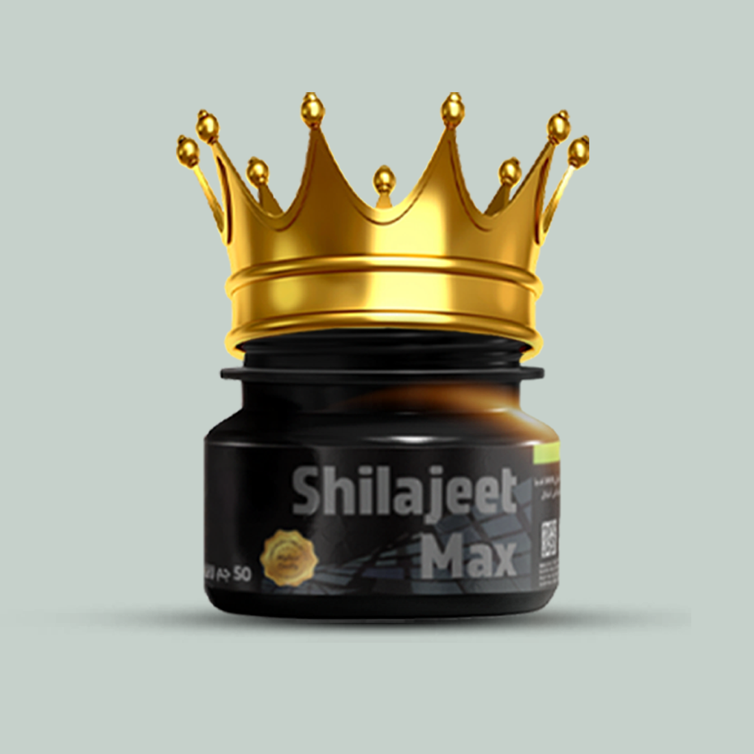 شيلاجيت ماكس